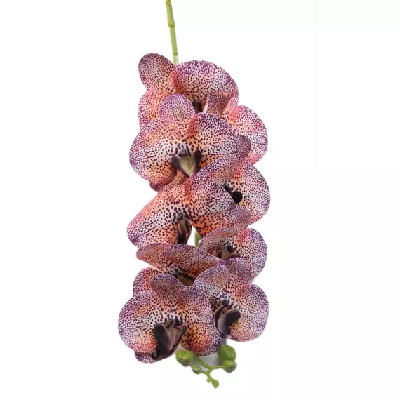 Gumi orchidea 95 cm 9 virágú 9-11 cm fejek B