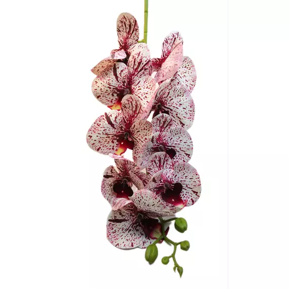 Gumi orchidea 95 cm 9 virágú 9-11 cm fejek F