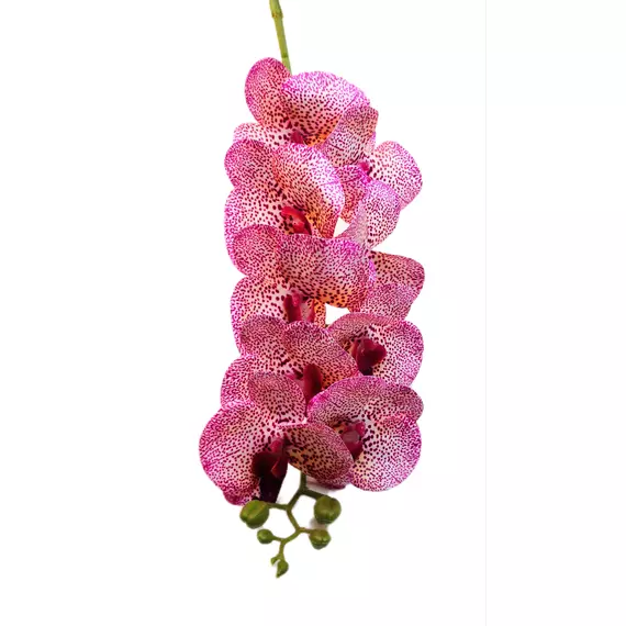 Gumi orchidea 95 cm 9 virágú 9-11 cm fejek H