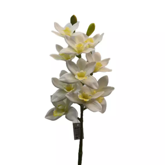 Gumi orchidea vastagszárú 67 cm 10 virágú 03