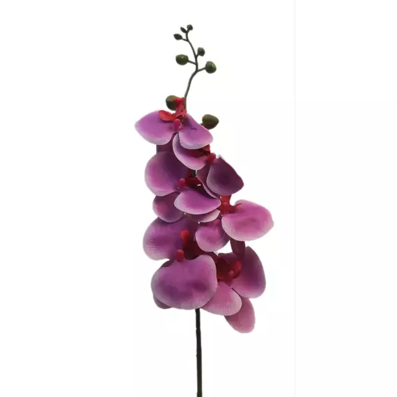 Gumi orchidea 6 db 10cm virággal Lila cirmos 