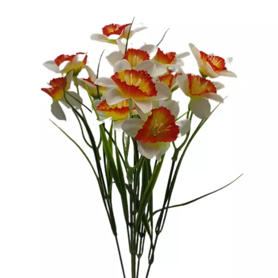 Nárcisz 15 virág 5 cm Narancssárga-fehér