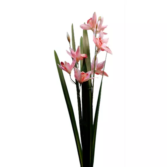 Fordított orchidea 8 db szatén virág gumi levéllel 70 cm Rózsaszín