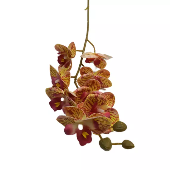 Gumi orchidea 80 cm 8 db 6,5 cm fej Közepes 09