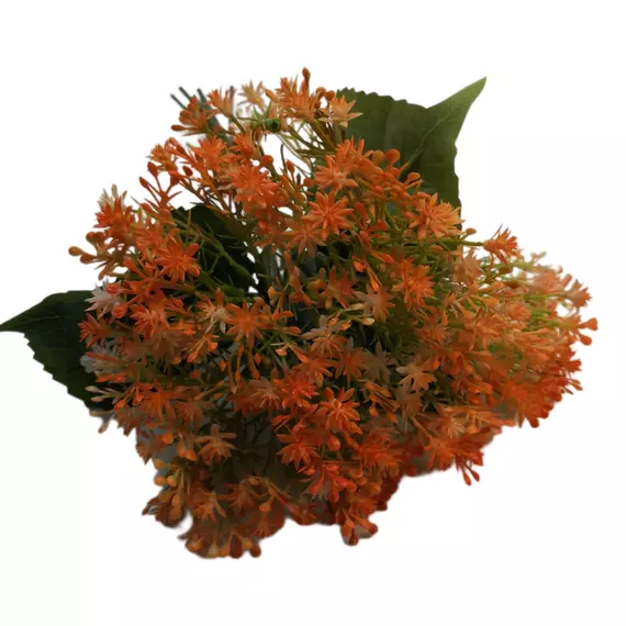 Szálas csillagvirág 35 cm Narancs