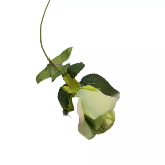 Szálas rózsa 50 cm Zöld