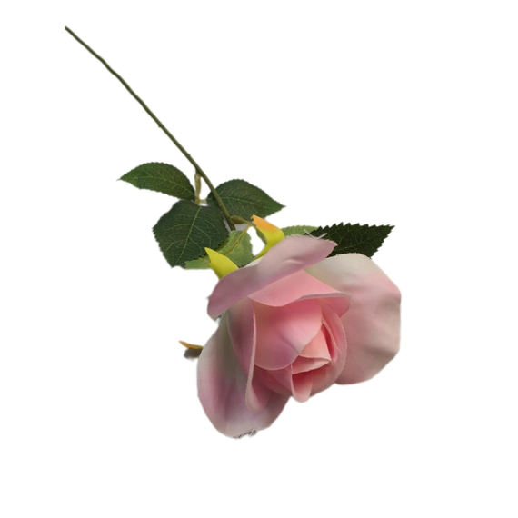 Szálas rózsa 50 cm  Rózsaszín