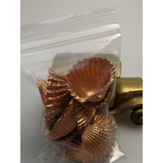 Kagyló 10 db Bronz