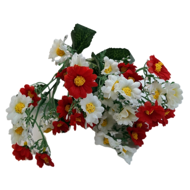 Margaréta sokvirágú 30 cm Fehér-piros