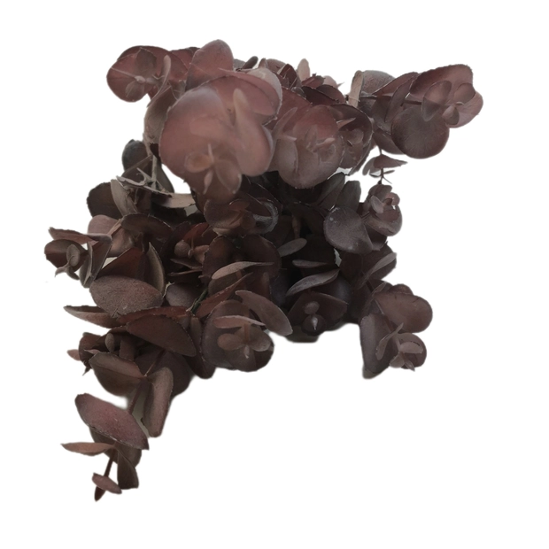 Színes kerek levelű 30 cm Pasztell sötét mályva