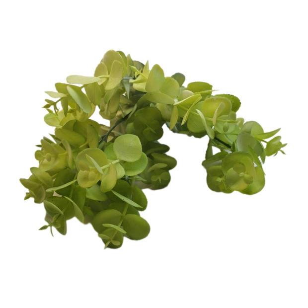 Színes kerek levelű 30 cm Zöld