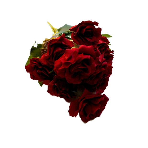 Színátmenetes rózsa 12 db 5 cm fej Bordó