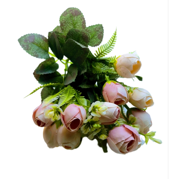 Begonia 14 db 3 cm fejű Pasztell rózsaszín-krém