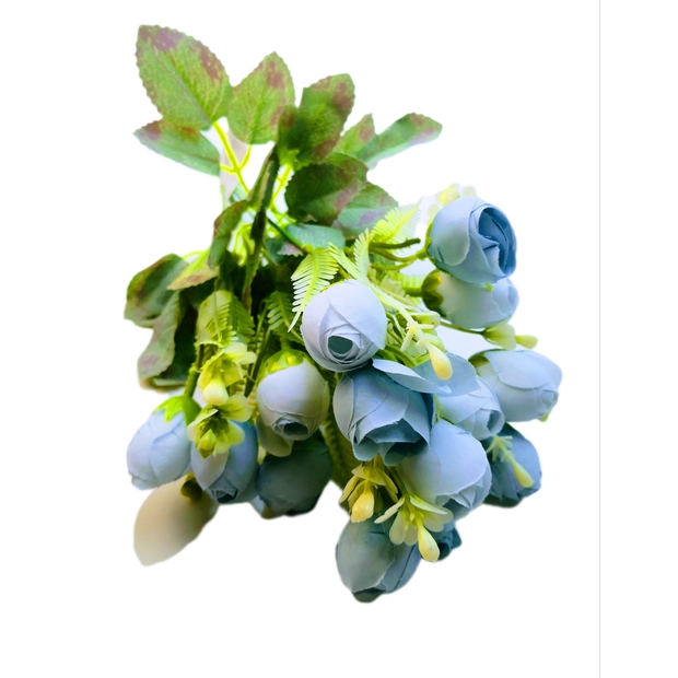 Begonia 14 db 3 cm fejű Kék