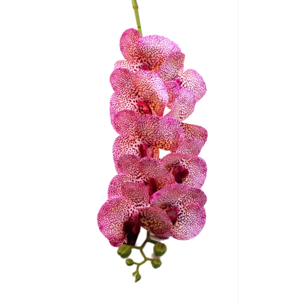 Gumi orchidea 95 cm 9 virágú 9-11 cm fejek H