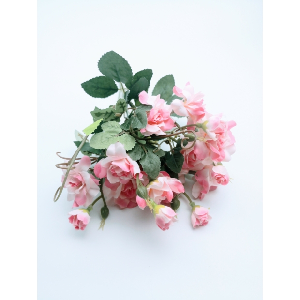 Rózsabokor bimbóval 30 cm Élénk rózsaszín 