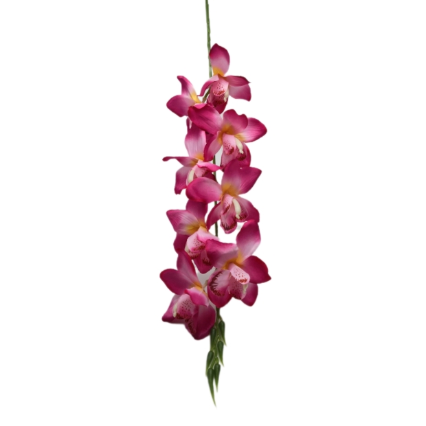Szatén orchidea 80 cm 8 virág 9-10 cm Magenta