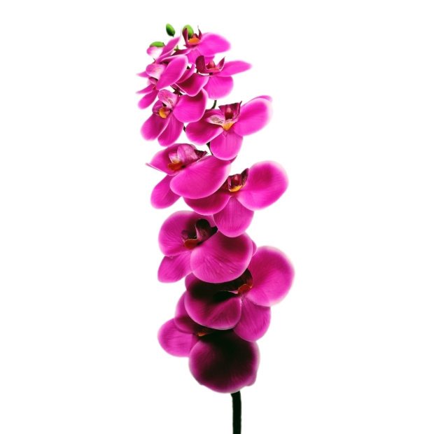 Gumi orchidea egyenes 80 cm 9 virágú 7-8 cm Magenta 