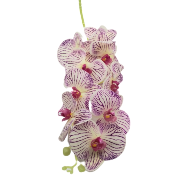 Gumi orchidea 100 cm 9 virág 10 cm Lila eres