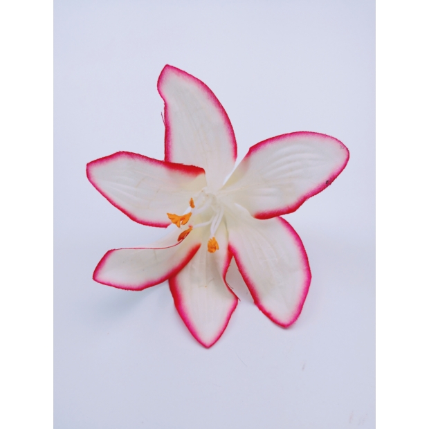 Amaryllis 8 cm Krém-rózsaszín 