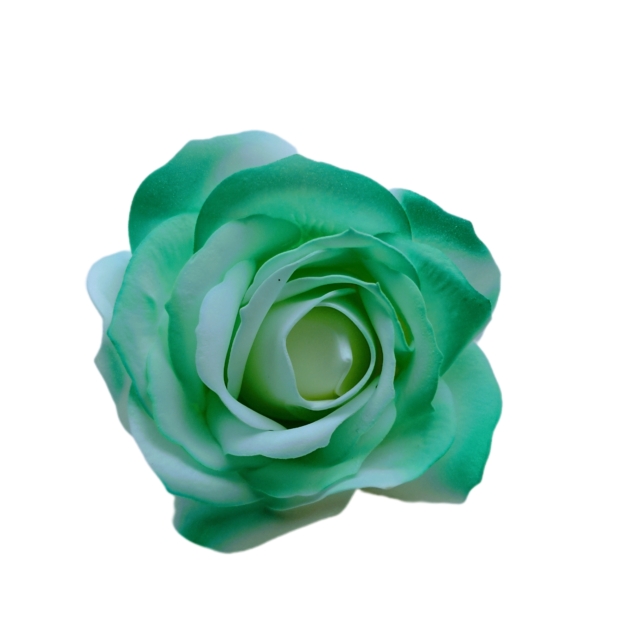 Nyílt szappanrózsa 8x7 cm Cirmos zöld