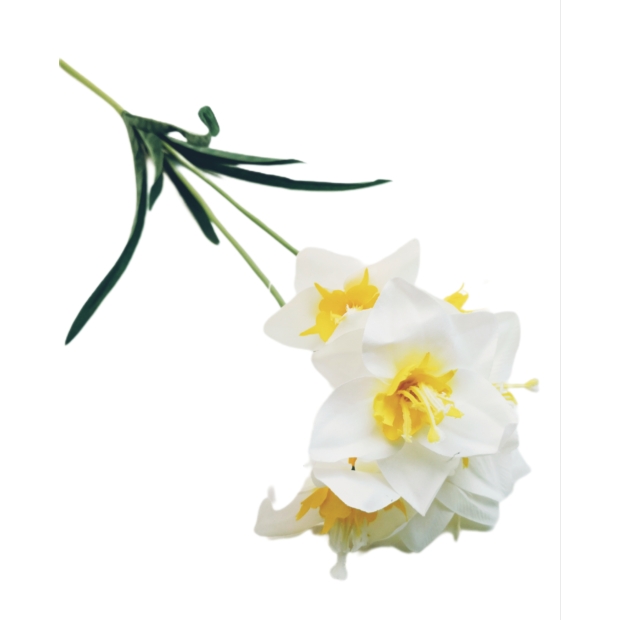 Nárcisz szatén kétágú gumi levéllel 60 cm 8 cm virág Fehér