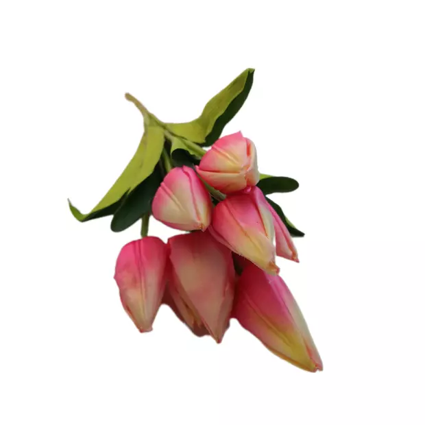 Szatén tulipán 9 db 6 cm fejű Rózsaszín-sárga