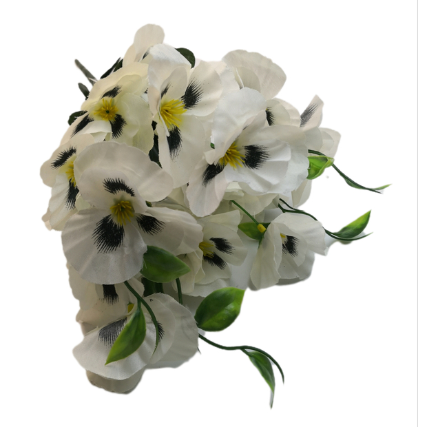 Árvácska csokor 21 virág 6 cm fej Fehér