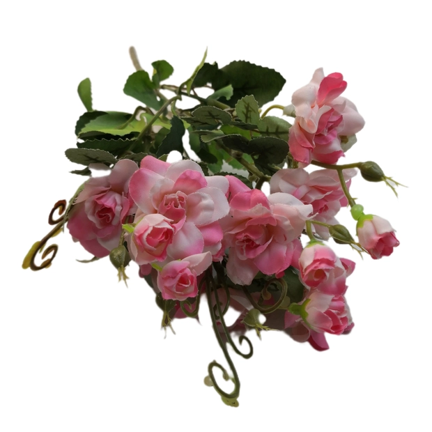 Rózsabokor bimbóval 30 cm Élénk rózsaszín