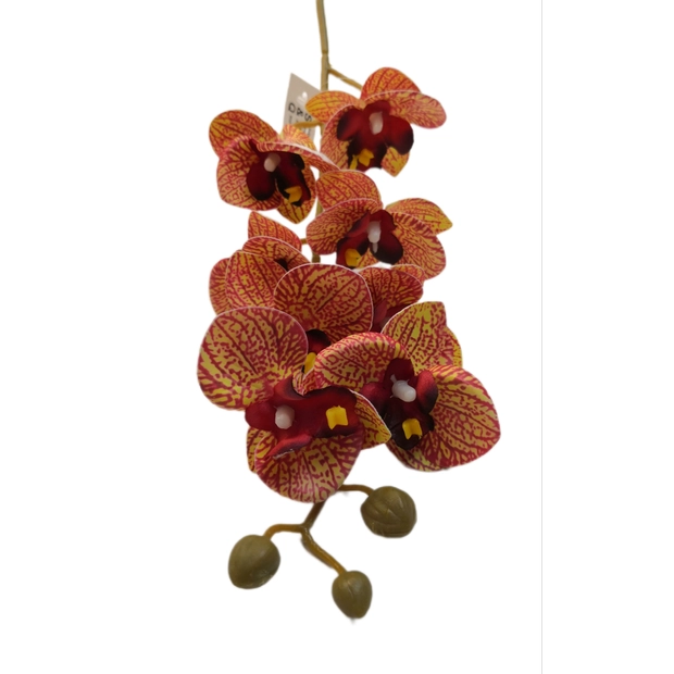 Gumi orchidea 80 cm 8 db 6,5 cm fej Közepes 03