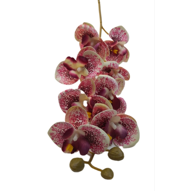 Gumi orchidea 80 cm 8 db 6,5 cm fej Közepes 06