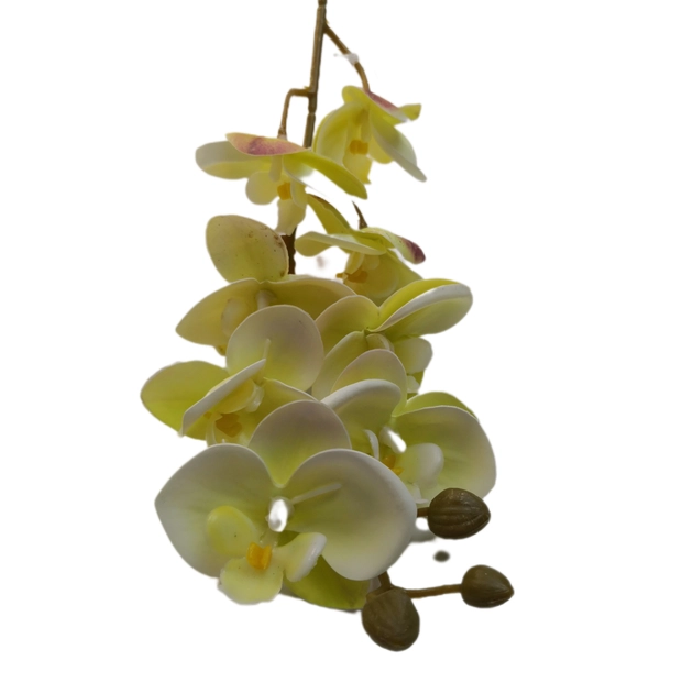 Gumi orchidea 80 cm 8 db 6,5 cm fej Közepes 010