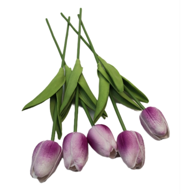 Gumi tulipán 30 cm 01 Bíbor cirmos