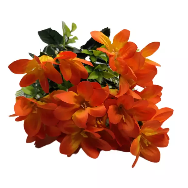 Mézvirág 40 cm Narancs