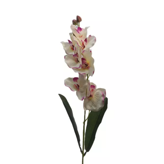 Szatén orchidea 65 cm Krém-cirmos
