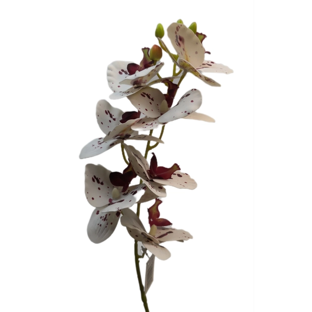 Gumi orchidea 70 cm 7 virágú 07