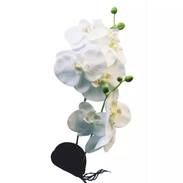 Gumi orchidea 50 cm kétágú levéllel 8 virágú Fehér
