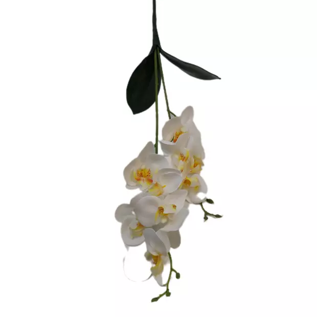 Gumi orchidea kétágú 9 db 7 cm virág 02