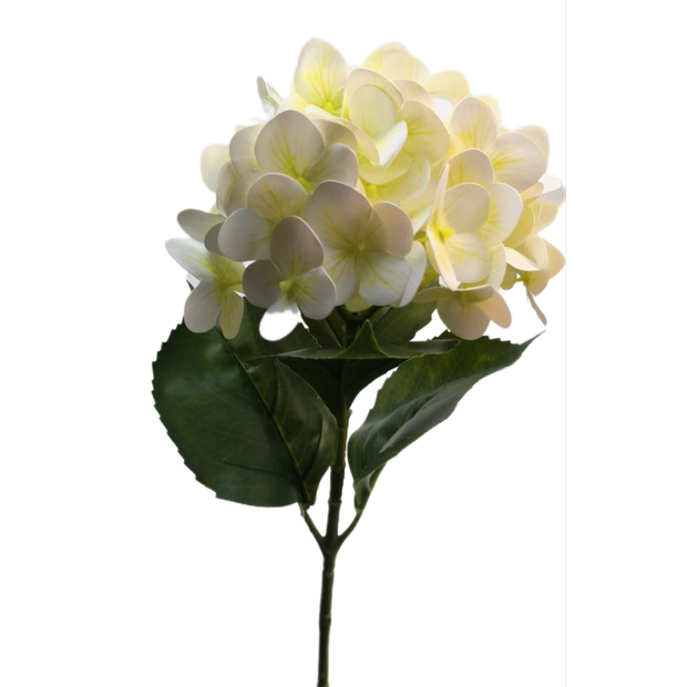 Gumi Hortenzia 65 cm Krém-fehér 01