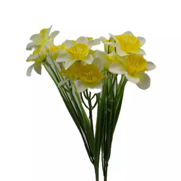 Nárcisz 15 virág 5 cm Sárga-fehér