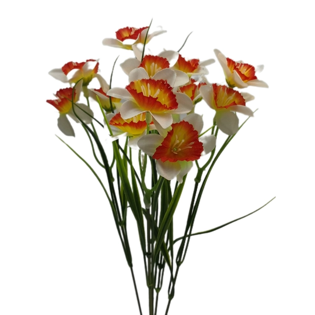 Nárcisz 15 virág 5 cm Narancssárga-fehér
