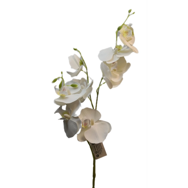 Gumi orchidea 3 ágú 80 cm 10 db 8 cm virágú 01