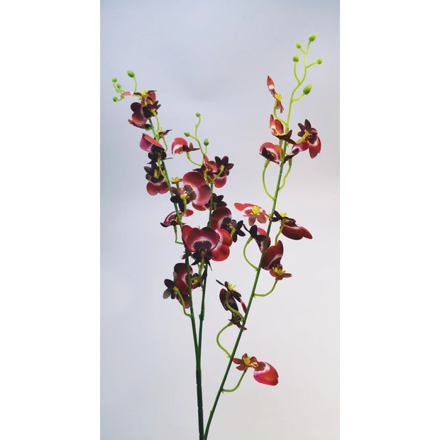 Gumi orchidea kis virágú 85 cm 32 virág 3-4 cm Bordó cirmos