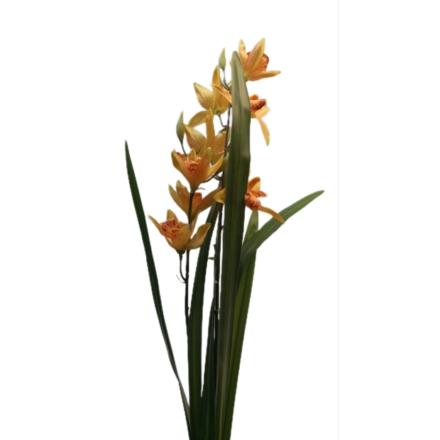 Fordított orchidea 8 db szatén virág gumi levéllel 70 cm Világosnarancs