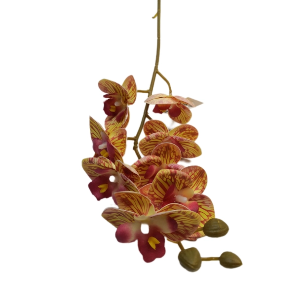 Gumi orchidea 80 cm 8 db 6,5 cm fej Közepes 09