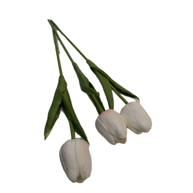 Gumi tulipán 30 cm 02 Fehér-alul barack