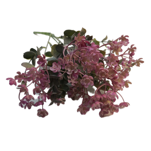 Virágos rezgő 30 cm Hamvas bíbor 