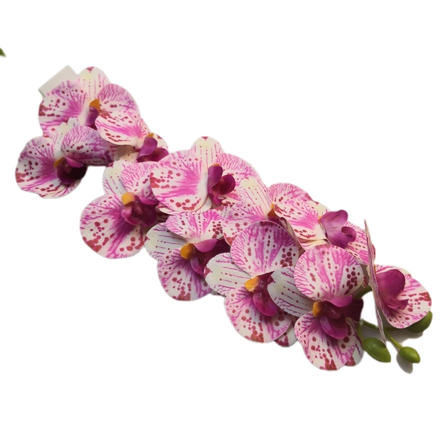 Gumi orchidea 11 virág 7 cm Pink-fehér
