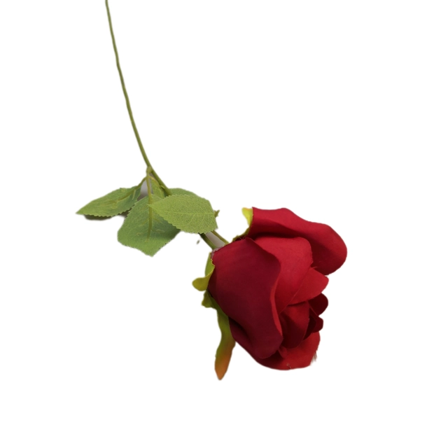 Szálas rózsa 50 cm Bordó