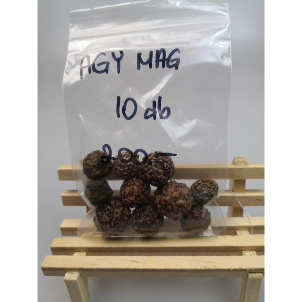Agymag 10 db